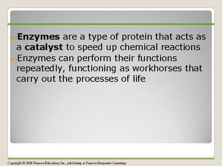  Enzymes are a type of protein that acts as a catalyst to speed