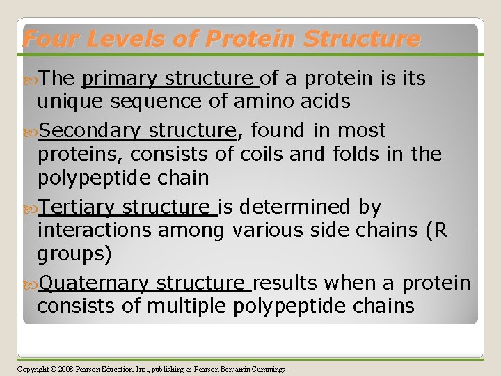 Four Levels of Protein Structure The primary structure of a protein is its unique