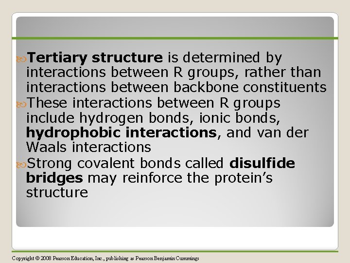  Tertiary structure is determined by interactions between R groups, rather than interactions between