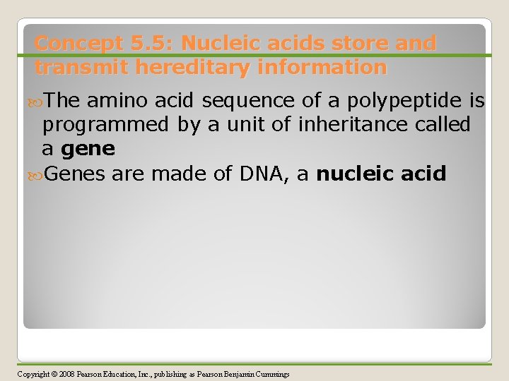 Concept 5. 5: Nucleic acids store and transmit hereditary information The amino acid sequence