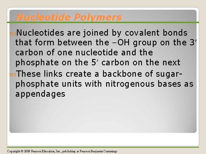 Nucleotide Polymers Nucleotides are joined by covalent bonds that form between the –OH group
