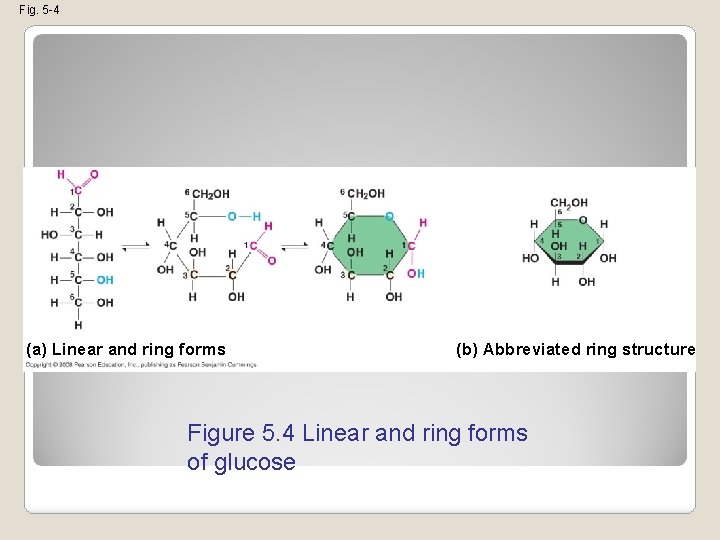 Fig. 5 -4 (a) Linear and ring forms (b) Abbreviated ring structure Figure 5.