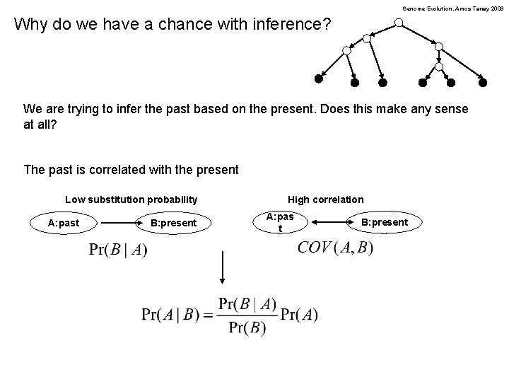 Genome Evolution. Amos Tanay 2009 Why do we have a chance with inference? We