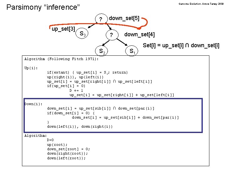 Genome Evolution. Amos Tanay 2009 Parsimony “inference” ? up_set[3] S 3 down_set[5] ? S