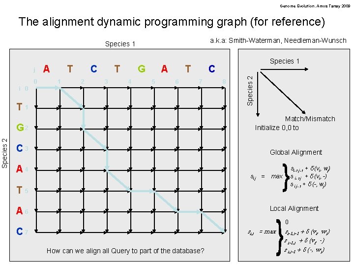 Genome Evolution. Amos Tanay 2009 The alignment dynamic programming graph (for reference) a. k.