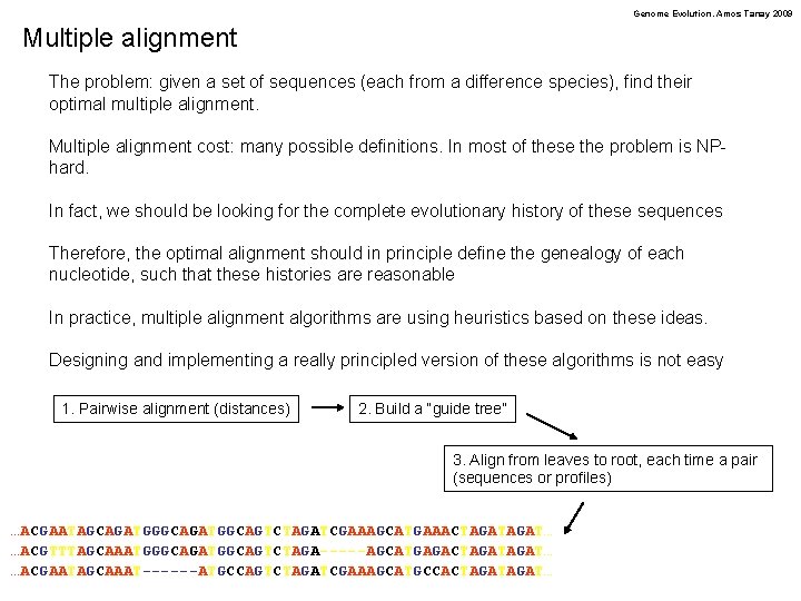 Genome Evolution. Amos Tanay 2009 Multiple alignment The problem: given a set of sequences