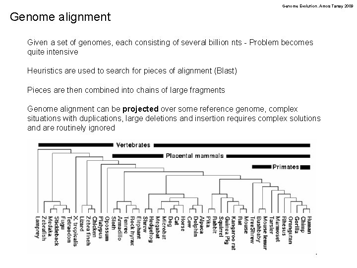 Genome Evolution. Amos Tanay 2009 Genome alignment Given a set of genomes, each consisting