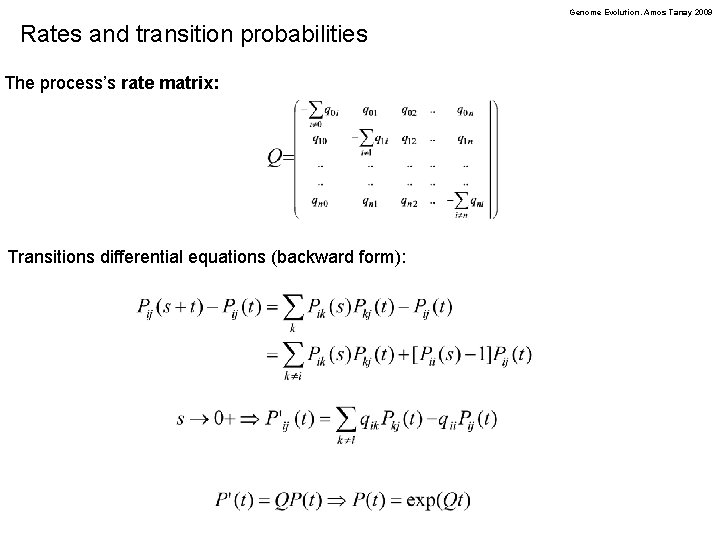 Genome Evolution. Amos Tanay 2009 Rates and transition probabilities The process’s rate matrix: Transitions