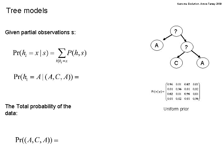 Genome Evolution. Amos Tanay 2009 Tree models ? Given partial observations s: A ?