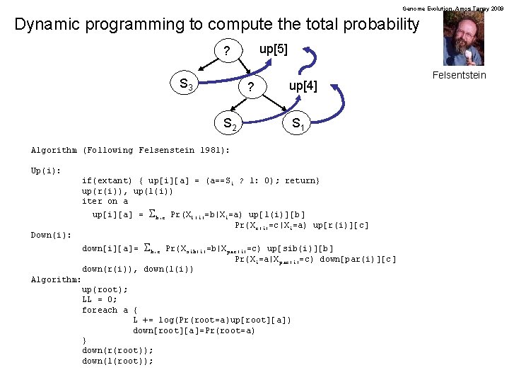 Genome Evolution. Amos Tanay 2009 Dynamic programming to compute the total probability up[5] ?