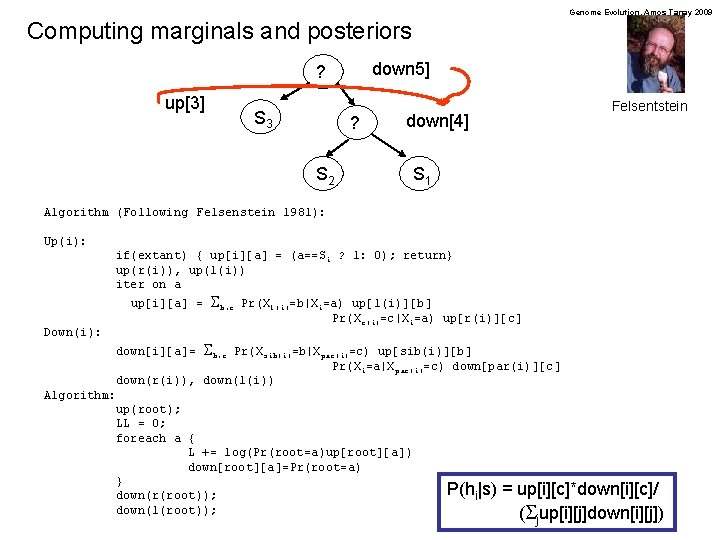 Genome Evolution. Amos Tanay 2009 Computing marginals and posteriors down 5] ? up[3] S