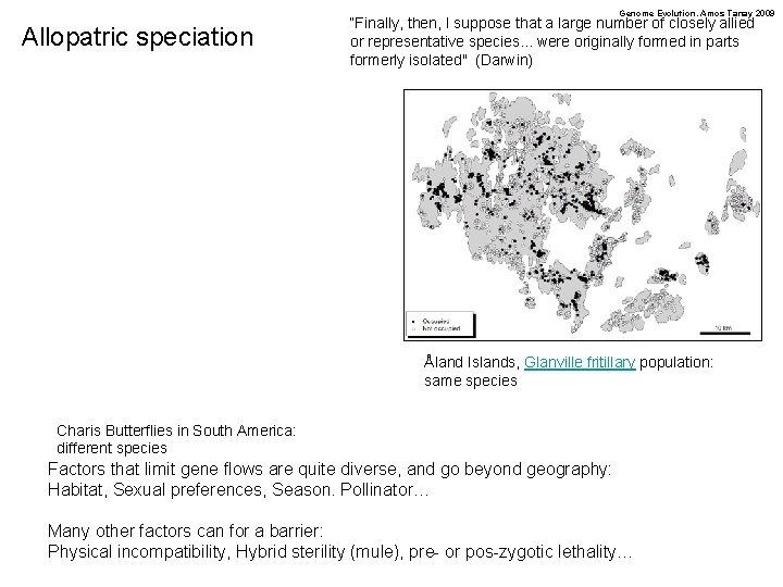 Genome Evolution. Amos Tanay 2009 Allopatric speciation “Finally, then, I suppose that a large