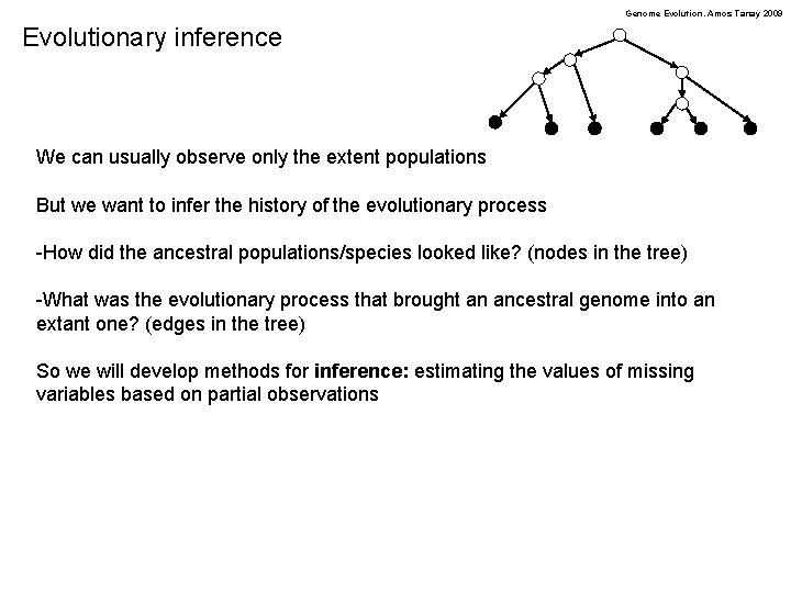 Genome Evolution. Amos Tanay 2009 Evolutionary inference We can usually observe only the extent