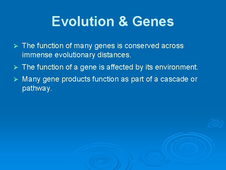 Evolution & Genes Ø The function of many genes is conserved across immense evolutionary