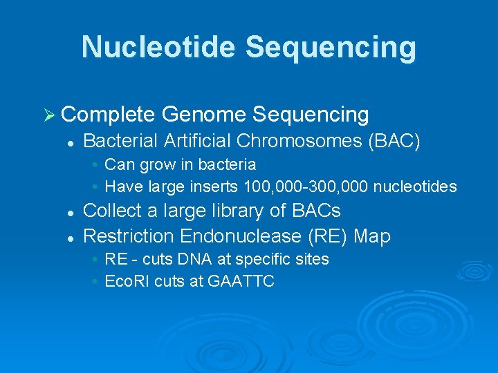 Nucleotide Sequencing Ø Complete Genome Sequencing l Bacterial Artificial Chromosomes (BAC) • Can grow