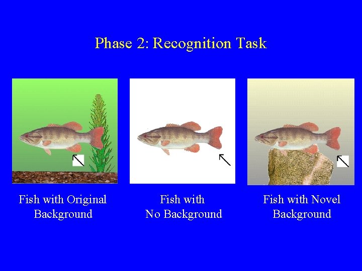 Phase 2: Recognition Task Fish with Original Background Fish with Novel Background 