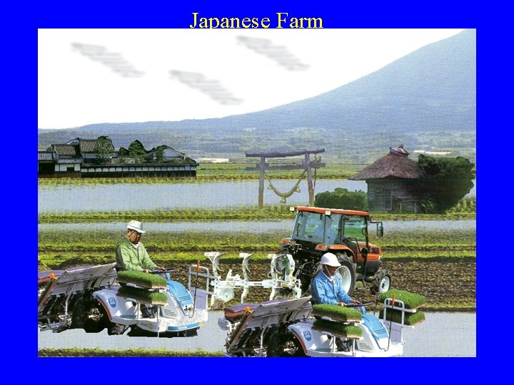 Japanese Farm 