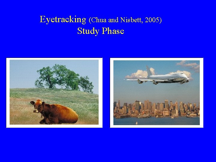 Eyetracking (Chua and Nisbett, 2005) Study Phase 