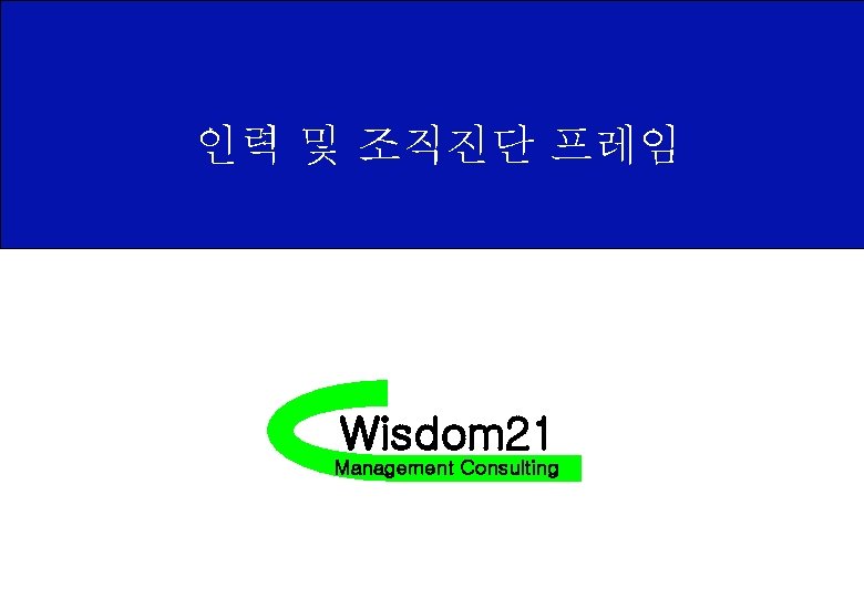 인력 및 조직진단 프레임 Wisdom 21 Management Consulting 