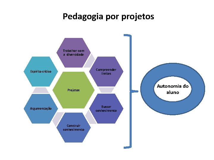 Pedagogia por projetos Trabalhar com a diversidade Compreender limites Espírito crítico Autonomia do aluno