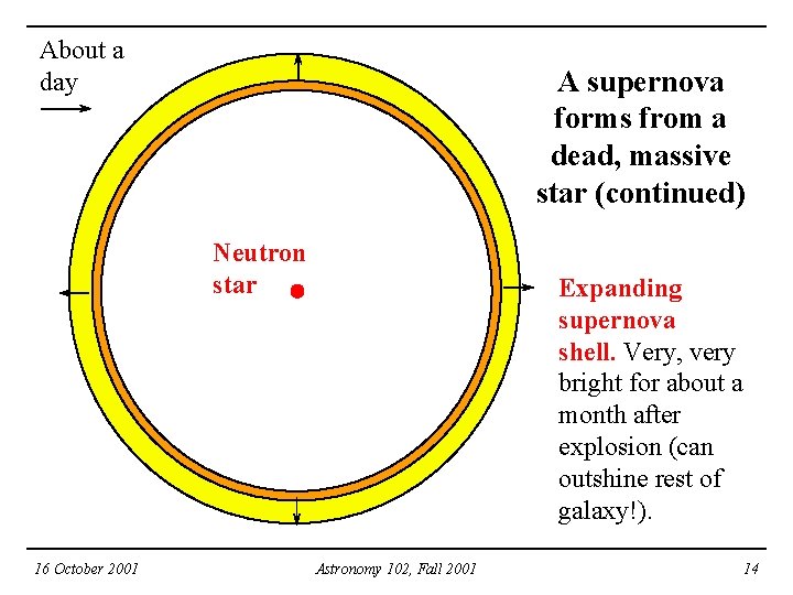 About a day A supernova forms from a dead, massive star (continued) Neutron star