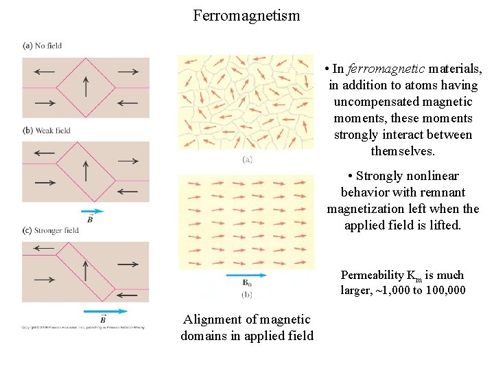 Ferromagnetism • In ferromagnetic materials, in addition to atoms having uncompensated magnetic moments, these