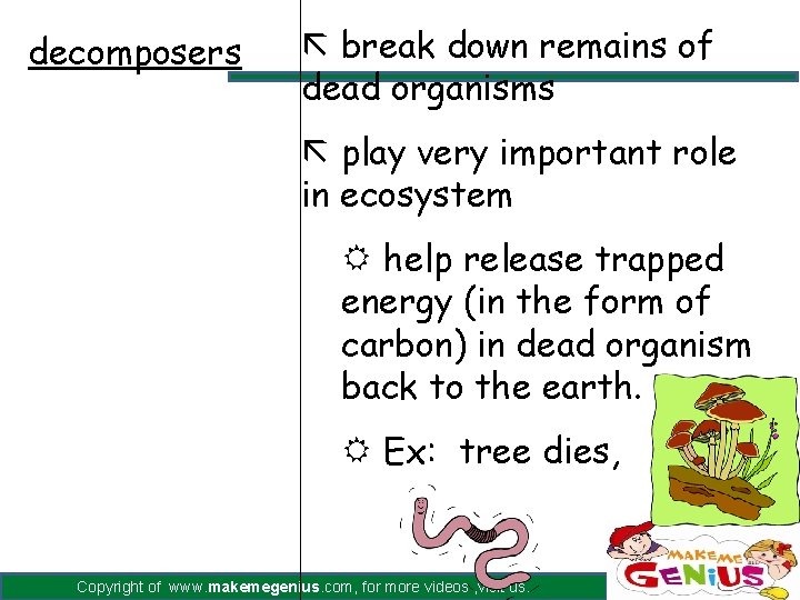 decomposers ã break down remains of dead organisms ã play very important role in