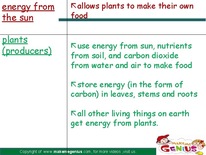 energy from the sun plants (producers) ãallows plants to make their own food ãuse