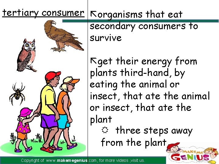 tertiary consumer ãorganisms that eat secondary consumers to survive ãget their energy from plants