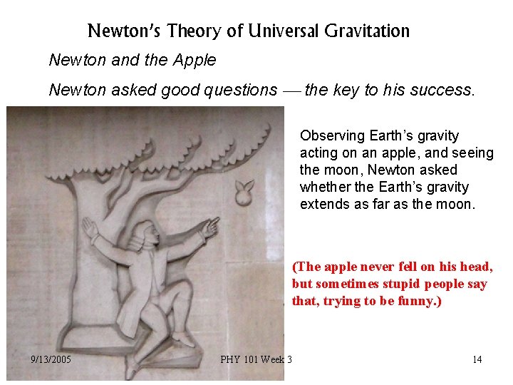 Newton’s Theory of Universal Gravitation Newton and the Apple Newton asked good questions the