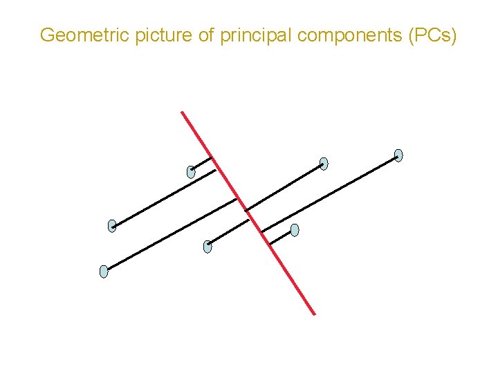 Geometric picture of principal components (PCs) 