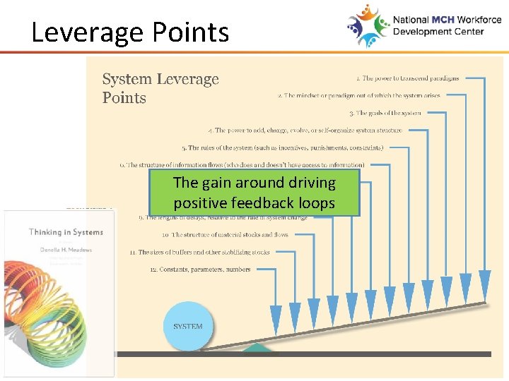 Leverage Points The gain around driving positive feedback loops 