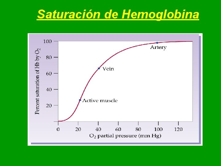 Saturación de Hemoglobina Saturación de Hemoglobina