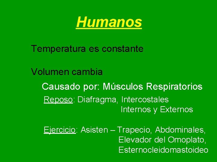 Humanos Temperatura es constante Volumen cambia Causado por: Músculos Respiratorios Reposo: Diafragma, Intercostales Internos Humanos Temperatura es constante Volumen cambia Causado por: Músculos Respiratorios Reposo: Diafragma, Intercostales Internos