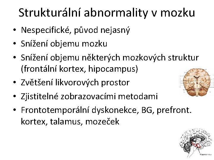 Strukturální abnormality v mozku • Nespecifické, původ nejasný • Snížení objemu mozku • Snížení