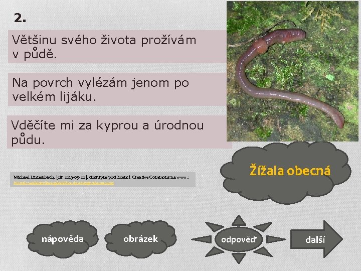 2. Většinu svého života prožívám v půdě. Na povrch vylézám jenom po velkém lijáku.