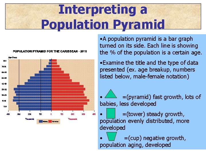 Interpreting a Population Pyramid • A population pyramid is a bar graph turned on