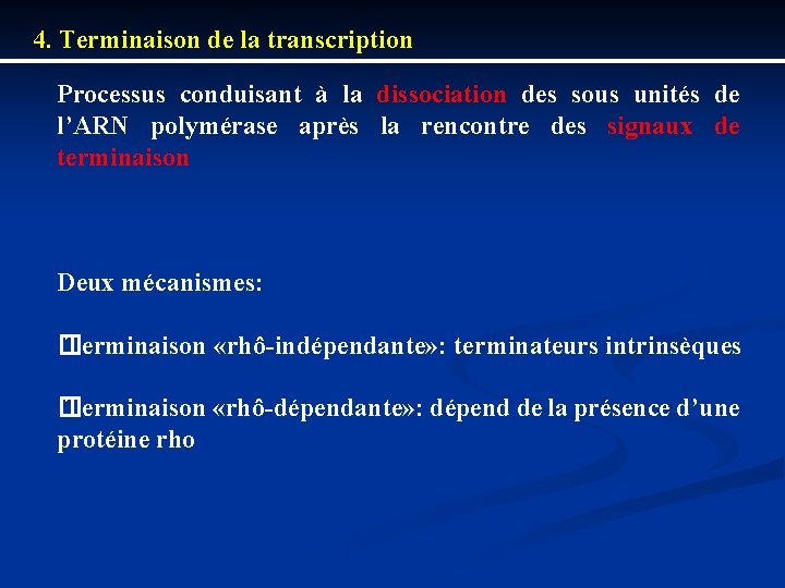 4. Terminaison de la transcription Processus conduisant à la dissociation des sous unités de