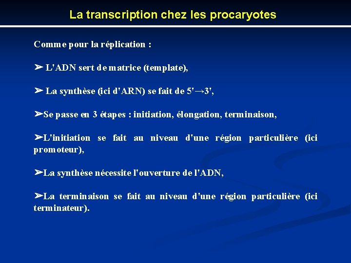 La transcription chez les procaryotes Comme pour la réplication : ➢ L'ADN sert de