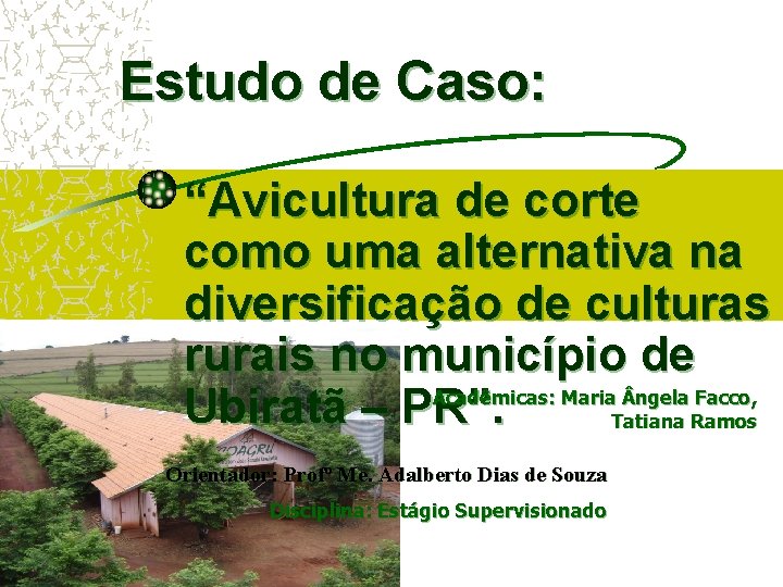 Estudo de Caso: “Avicultura de corte como uma alternativa na diversificação de culturas rurais Estudo de Caso: “Avicultura de corte como uma alternativa na diversificação de culturas rurais