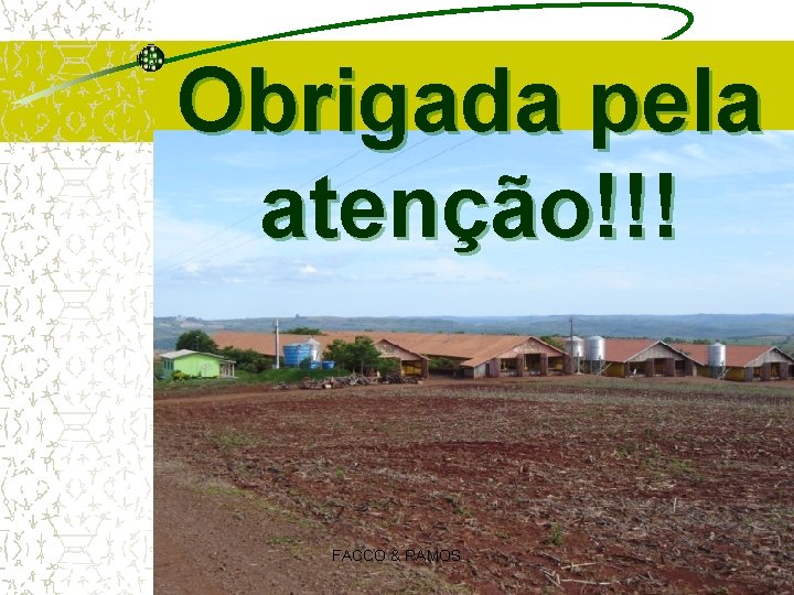 Obrigada pela atenção!!! FACCO & RAMOS Obrigada pela atenção!!! FACCO & RAMOS