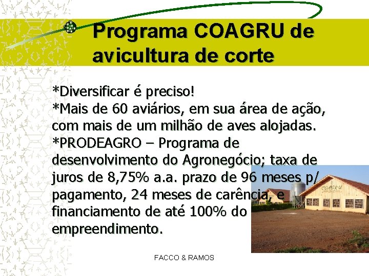 Programa COAGRU de avicultura de corte *Diversificar é preciso! *Mais de 60 aviários, em Programa COAGRU de avicultura de corte *Diversificar é preciso! *Mais de 60 aviários, em