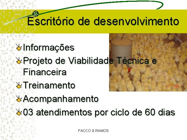 Escritório de desenvolvimento Informações Projeto de Viabilidade Técnica e Financeira Treinamento Acompanhamento 03 atendimentos Escritório de desenvolvimento Informações Projeto de Viabilidade Técnica e Financeira Treinamento Acompanhamento 03 atendimentos