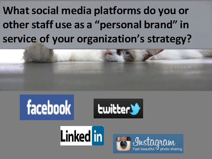 What social media platforms do you or other staff use as a “personal brand”