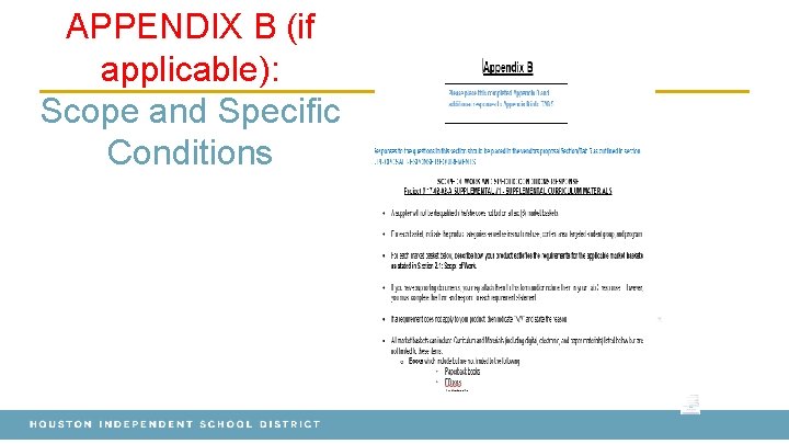 APPENDIX B (if applicable): Scope and Specific Conditions 