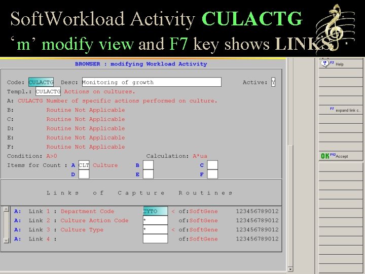 Soft. Workload Activity CULACTG ‘m’ modify view and F 7 key shows LINKS 