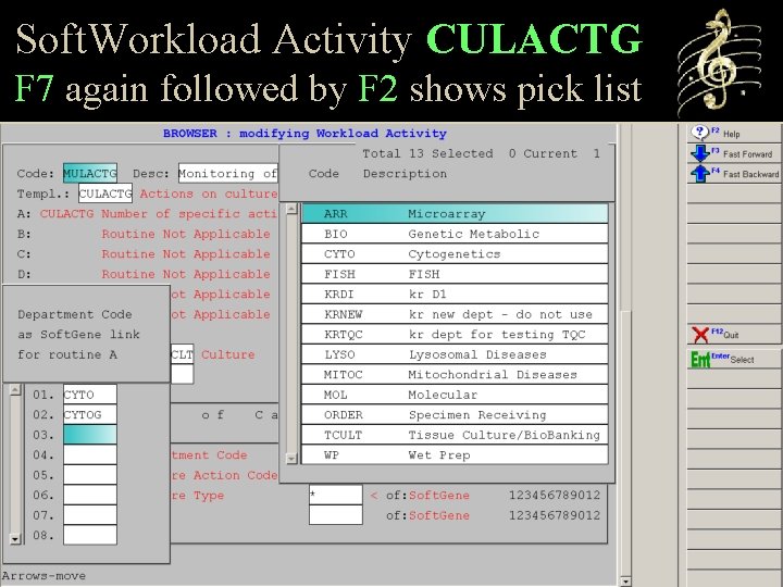 Soft. Workload Activity CULACTG F 7 again followed by F 2 shows pick list