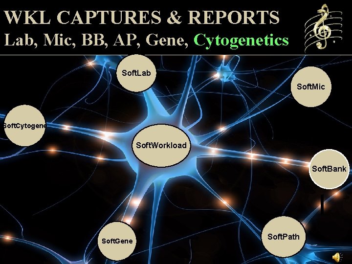 WKL CAPTURES & REPORTS Lab, Mic, BB, AP, Gene, Cytogenetics Soft. Lab Soft. Mic