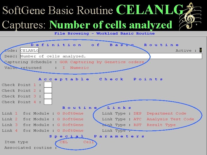 Soft. Gene Basic Routine CELANLG Captures: Number of cells analyzed 