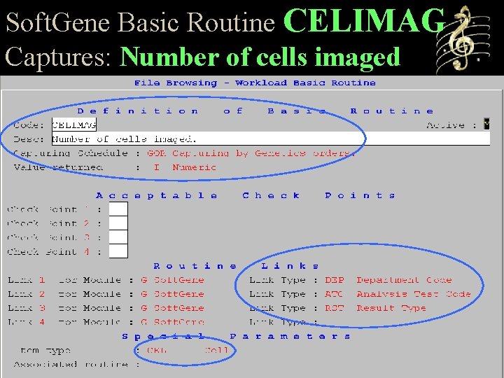 Soft. Gene Basic Routine CELIMAG Captures: Number of cells imaged 